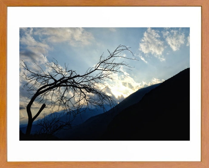 Atardecer color