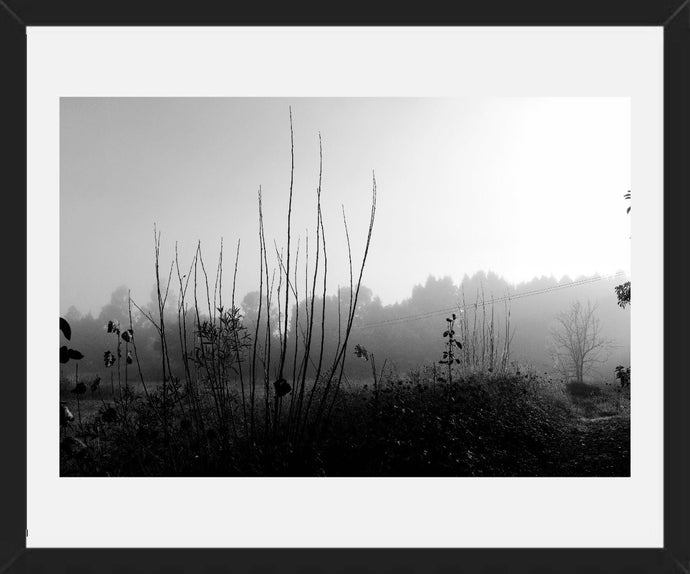 Neblina