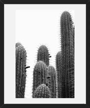 Cargar imagen en el visor de la galería, Cactus 1
