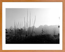 Cargar imagen en el visor de la galería, Neblina
