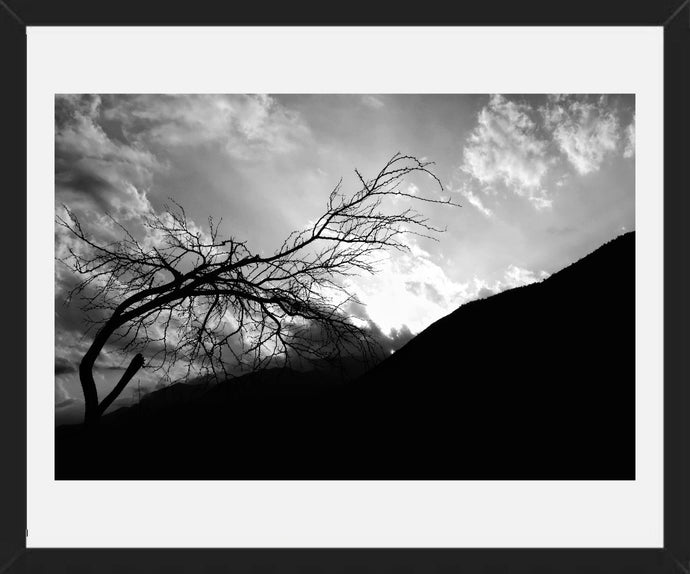 Atardecer Blanco y negro